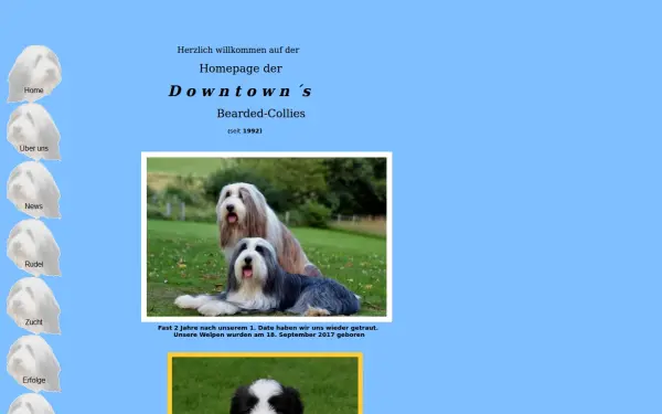 downtowns-bearded.de