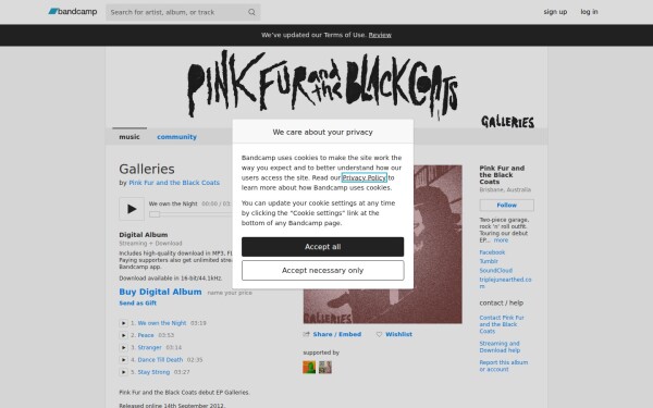 pinkfurandtheblackcoats.bandcamp.com