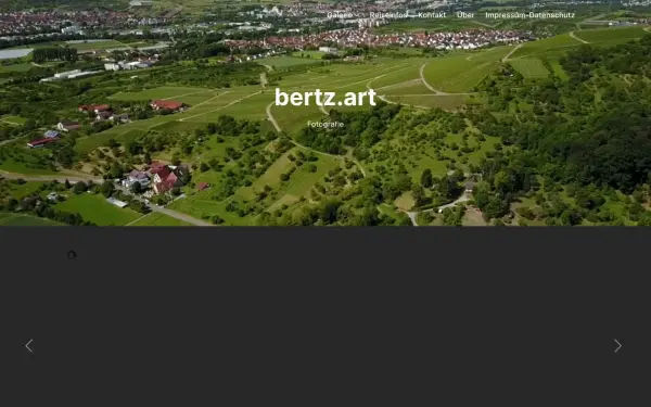 bertz.art