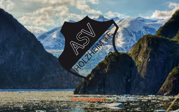 asv-holzheim.de