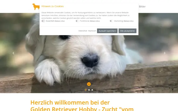 goldenretriever-sha.de