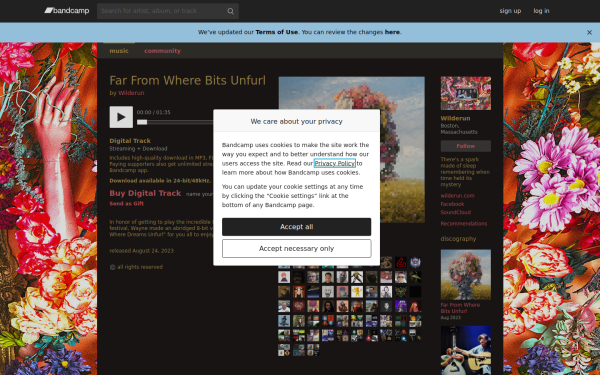 wilderun.bandcamp.com
