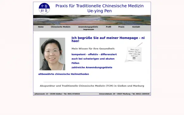 akupunktur-pen.de