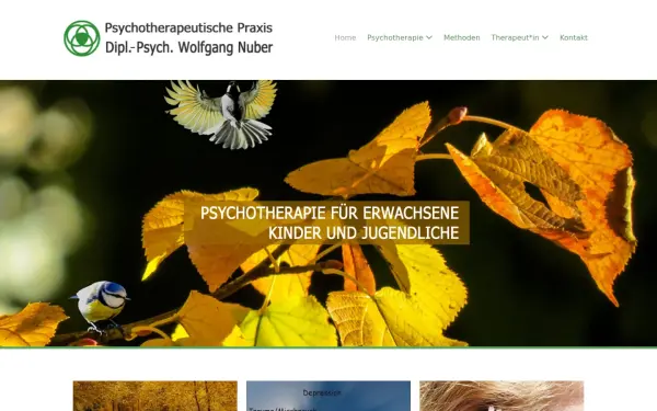www.psychotherapie-nuber.de