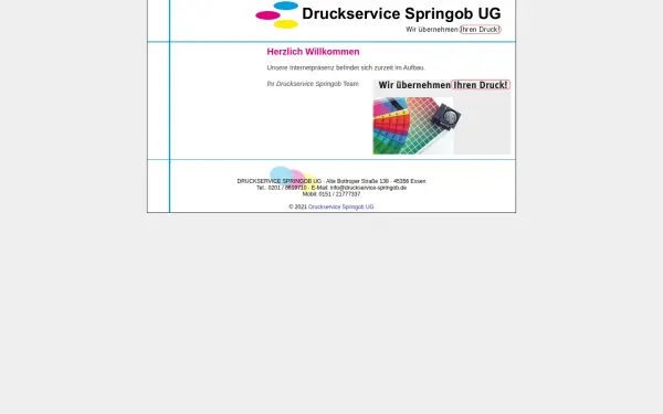 druckservice-springob.de