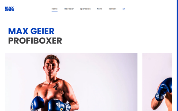 max-geier.de
