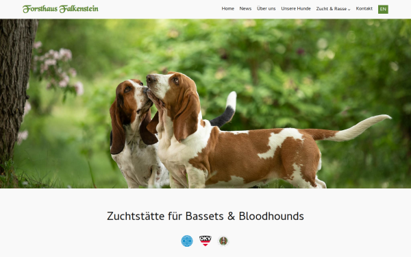 www.falkenstein-hounds.at