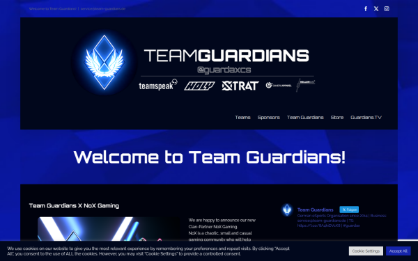 team-guardians.de