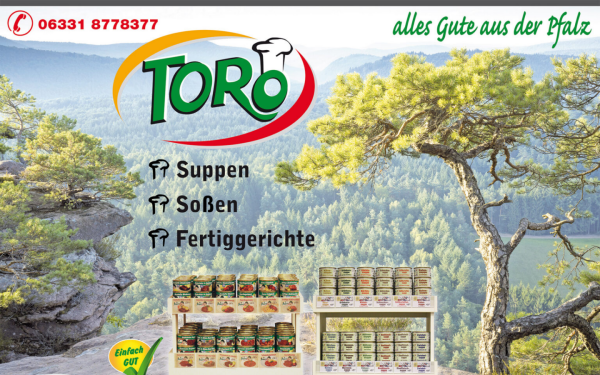 torogmbh.de