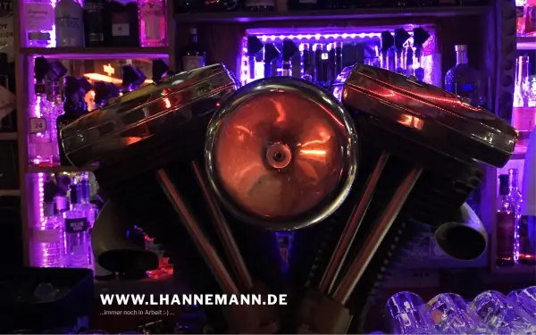 www.lhannemann.de