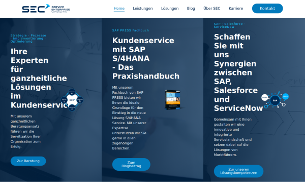 service-enterprise-consulting.com