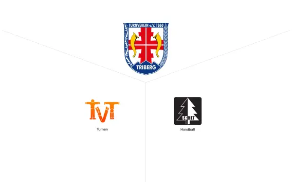 www.handball-triberg.de