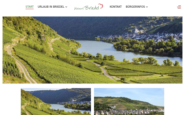 www.briedel.de