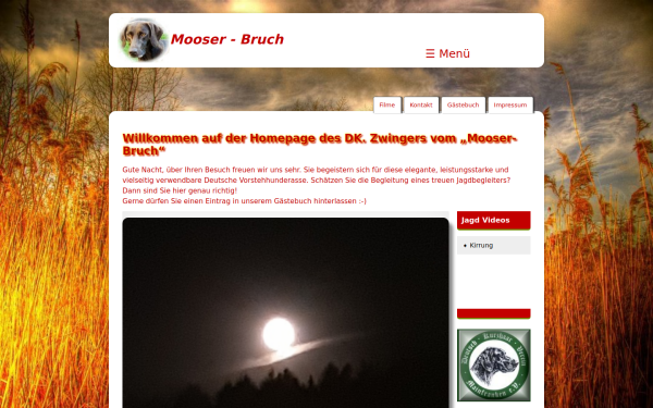 mooser-bruch.de