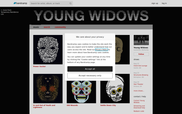 youngwidows.bandcamp.com