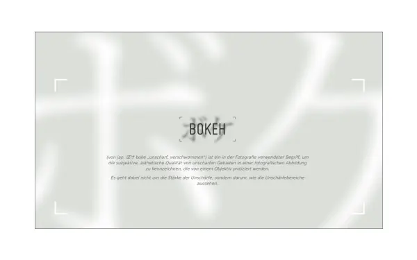 agentur-bokeh.de