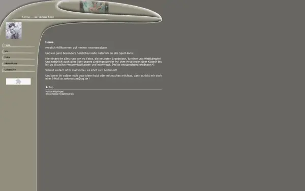 harald-hoepfinger.de