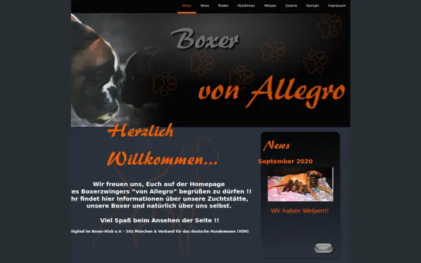 allegro-boxer.de