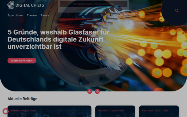 www.digital-chiefs.de