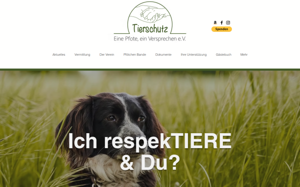 www.tierheim-cuxhaven.com