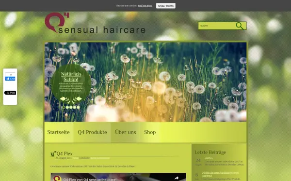 q4-haircare.de