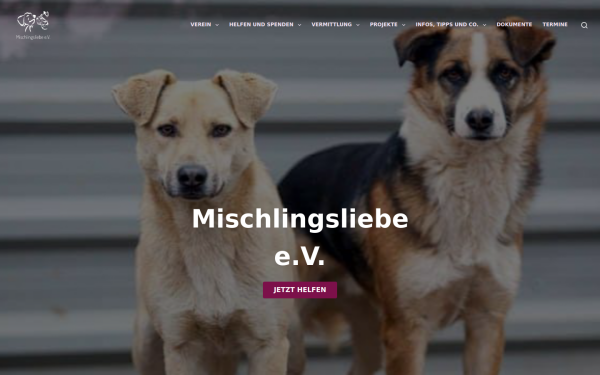 mischlingsliebe.org