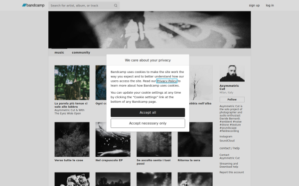 asymmetriccut.bandcamp.com
