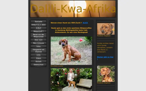 www.dalili-kwa-afrika.de