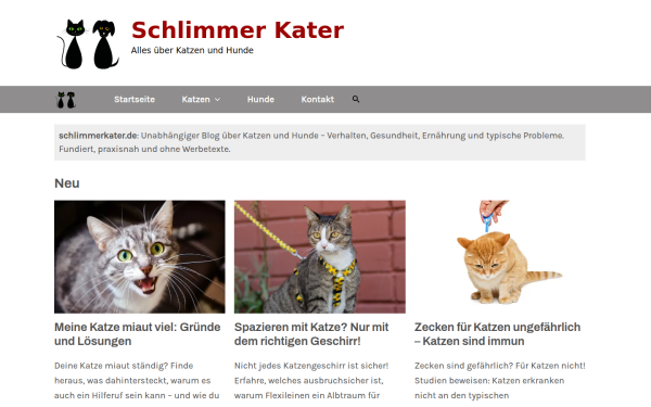www.schlimmerkater.de
