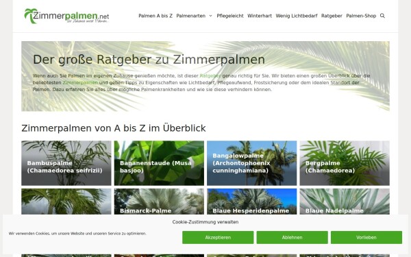 www.zimmerpalmen.net