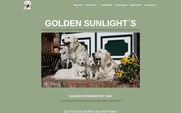 golden-sunlight.de