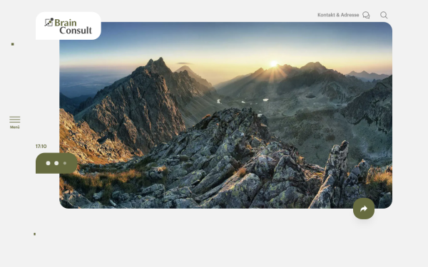 brainconsult.ch