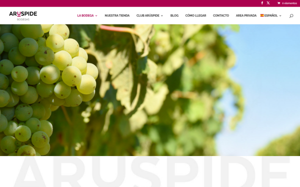 aruspide.com