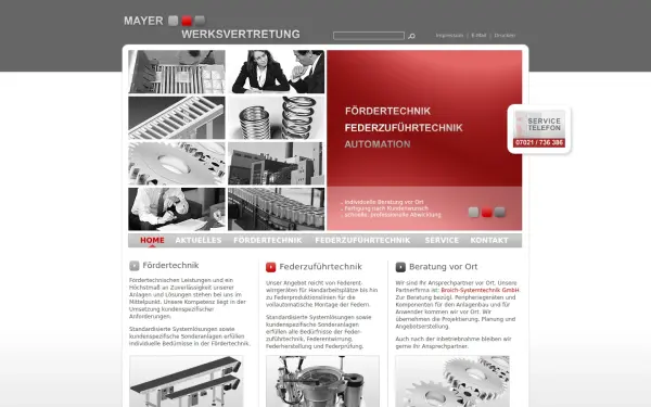 mayer-werksvertretungen.de