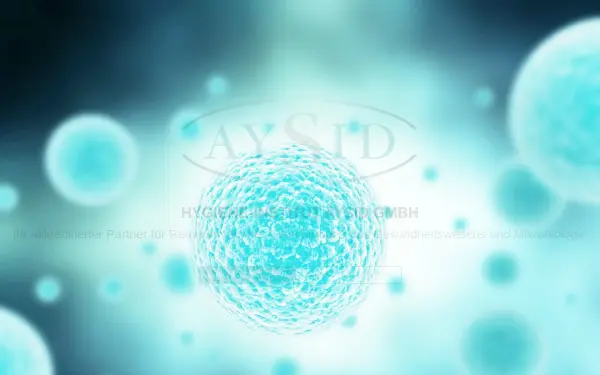 aysid.de