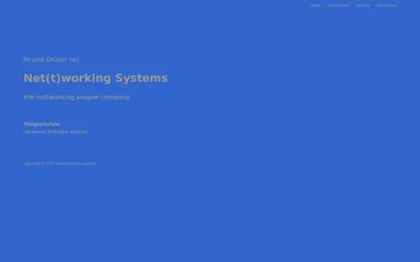 nettworking.systems