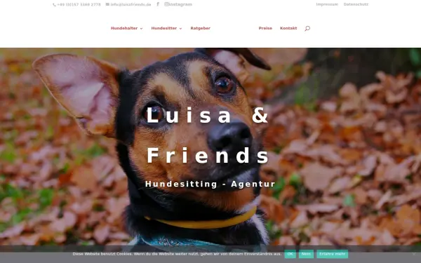 luisafriends.de
