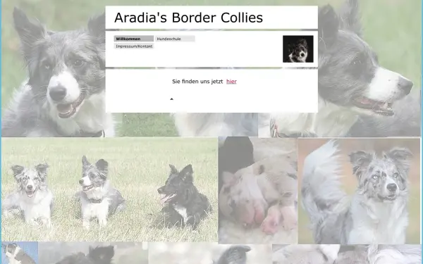 aradiasbordercollies.de
