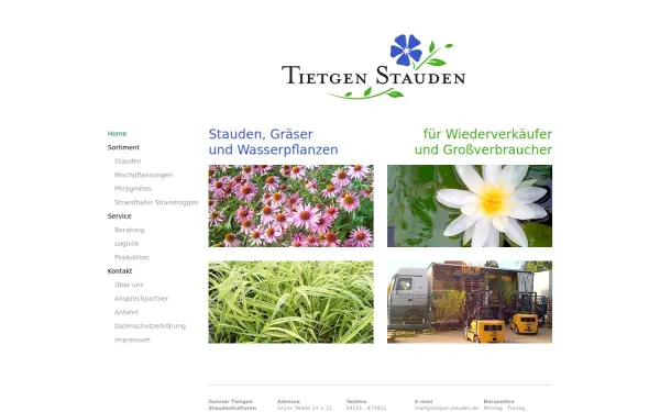 www.tietgen-stauden.de
