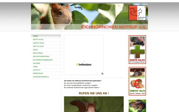 www.eichhoernchen-notruf.com