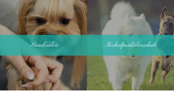 hunde-salon-tiffany.de
