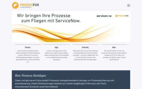 prozessfux.de