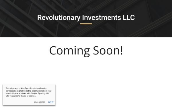 www.revinv.biz