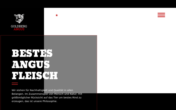 goldberg-angus.de