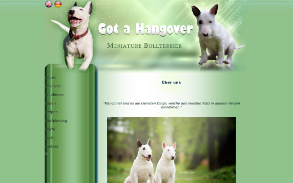 got-a-hangover.at