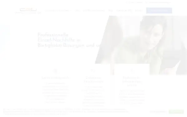 www.schultraining.de