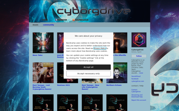 cyborgdrive.bandcamp.com