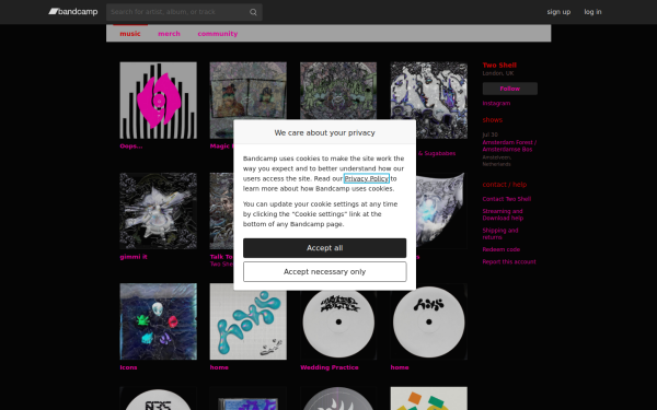 twoshell.bandcamp.com