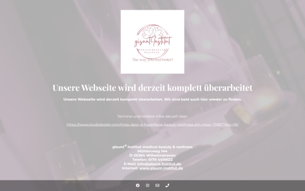 gisunt-institut.de