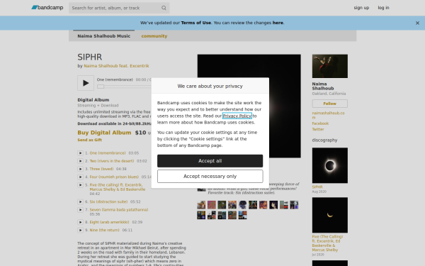 naimashalhoub.bandcamp.com